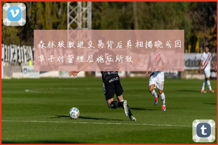 森林狼激进交易背后真相揭晓或因华子对管理层施压所致