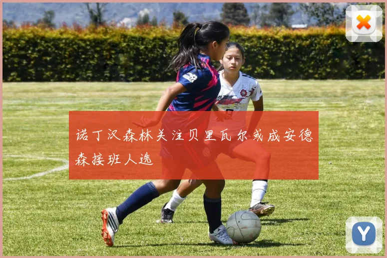 诺丁汉森林关注贝里瓦尔或成安德森接班人选